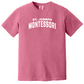 St. Joseph Montessori Design 3 (Comfort Colors) ADULT