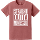St. Joseph Montessori Design 2 (Comfort Colors) YOUTH